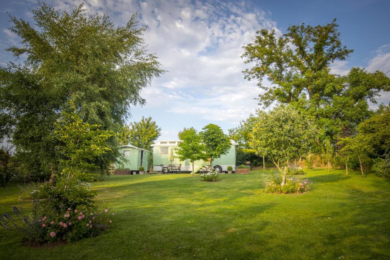 West Cottage, Southlands Farm, Gunnerton Hexham Buitenkant foto